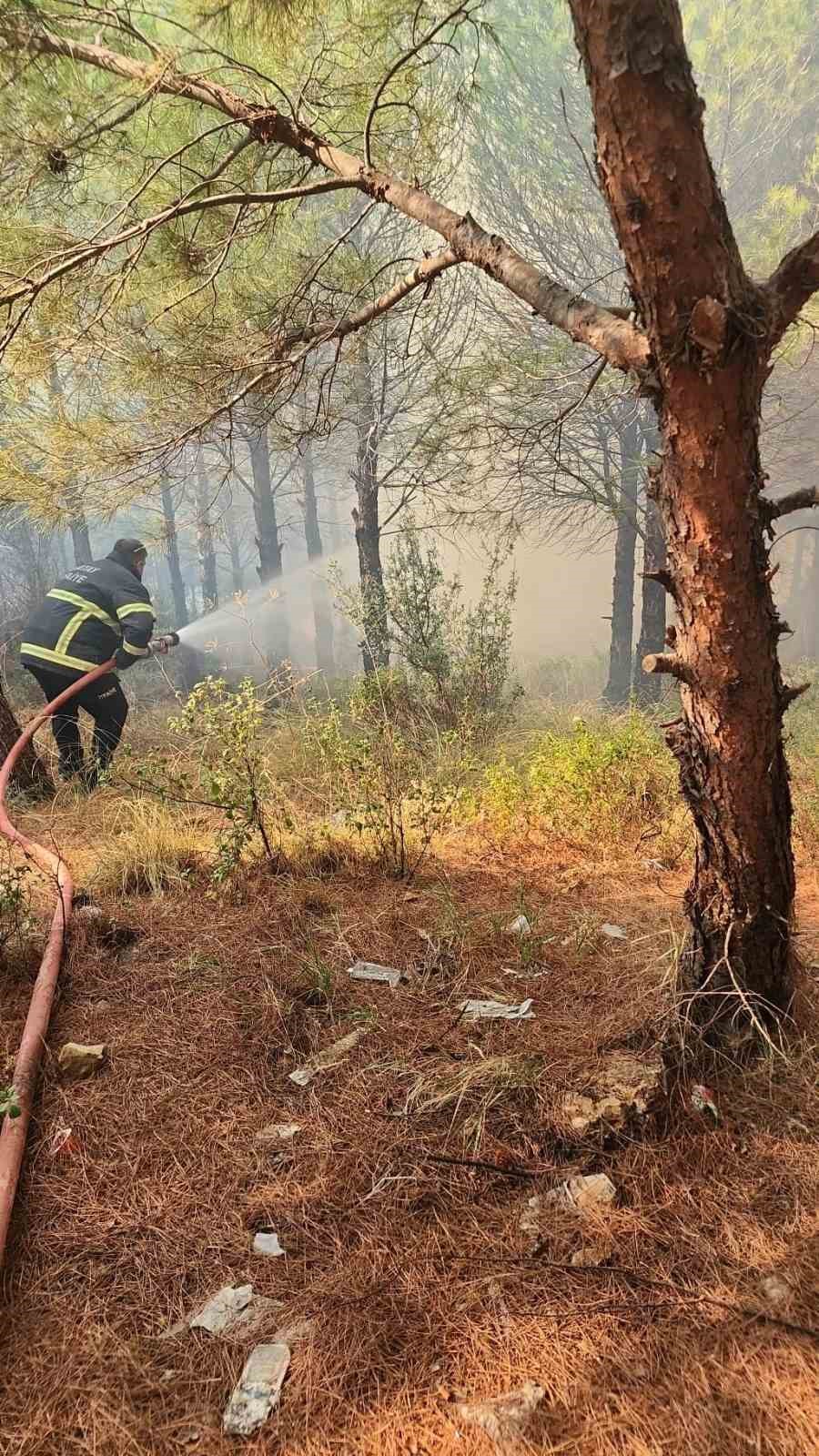 Antakya’da orman yangını
