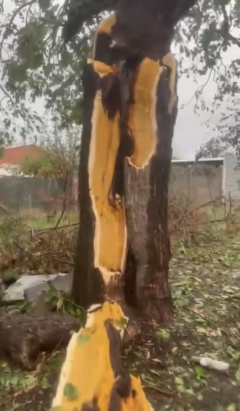 &Ccedil;anakkale&rsquo;de yıldırım d&uuml;şt&uuml;, cami minaresi yıkıldı 
