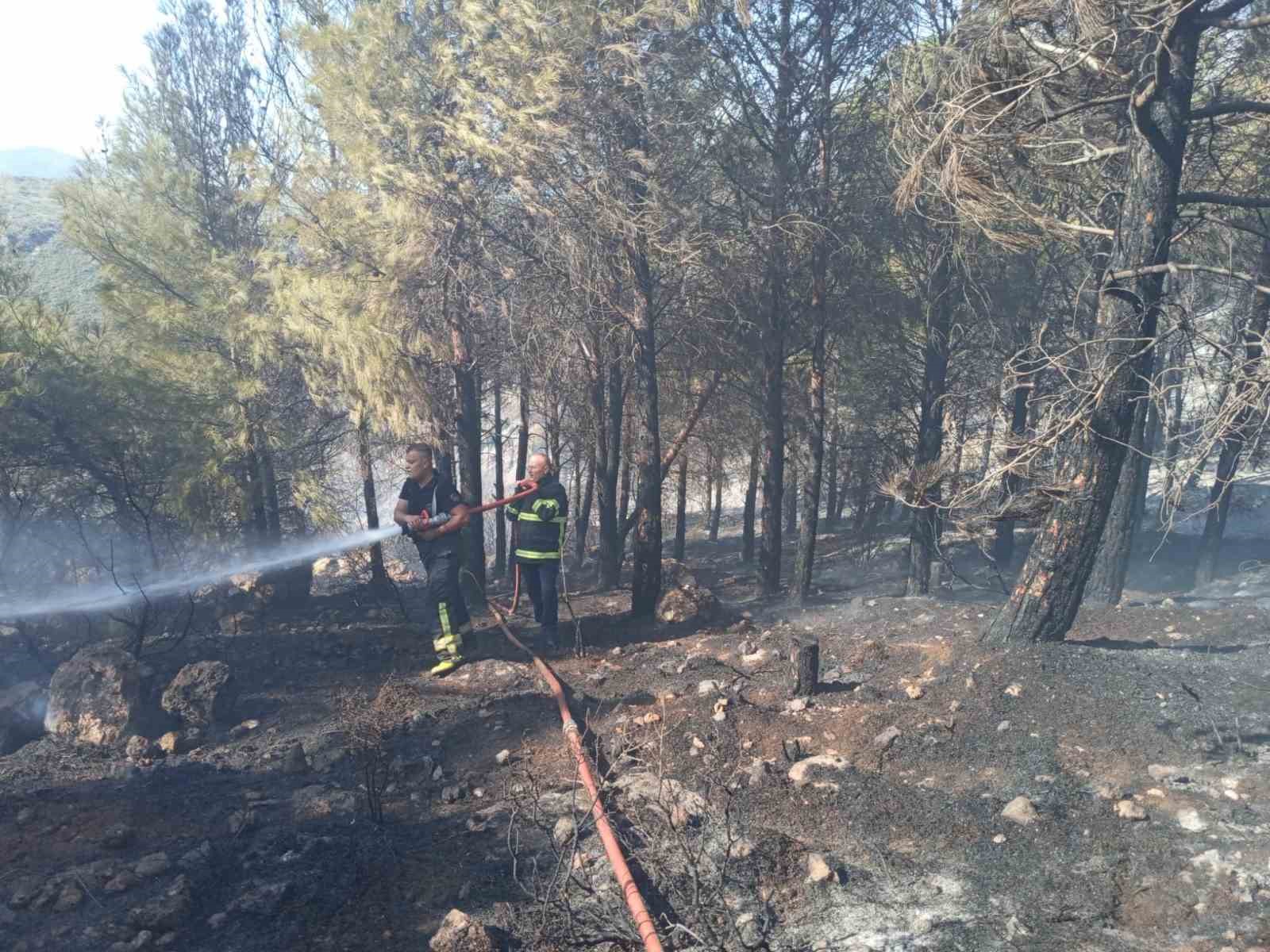 Antakya’da orman yangını