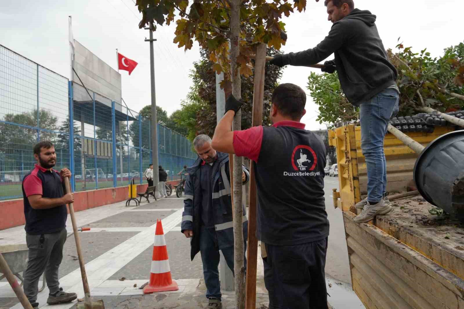 Kuruyan ağaçlar yenilendi