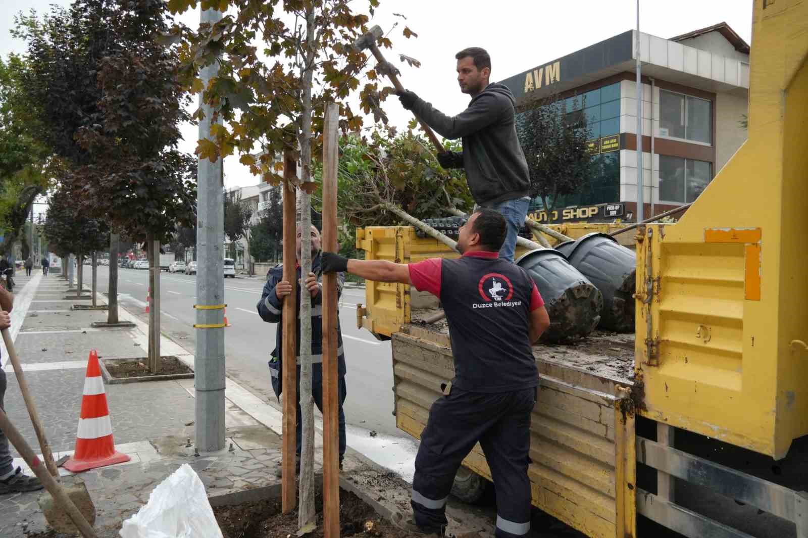 Kuruyan ağaçlar yenilendi
