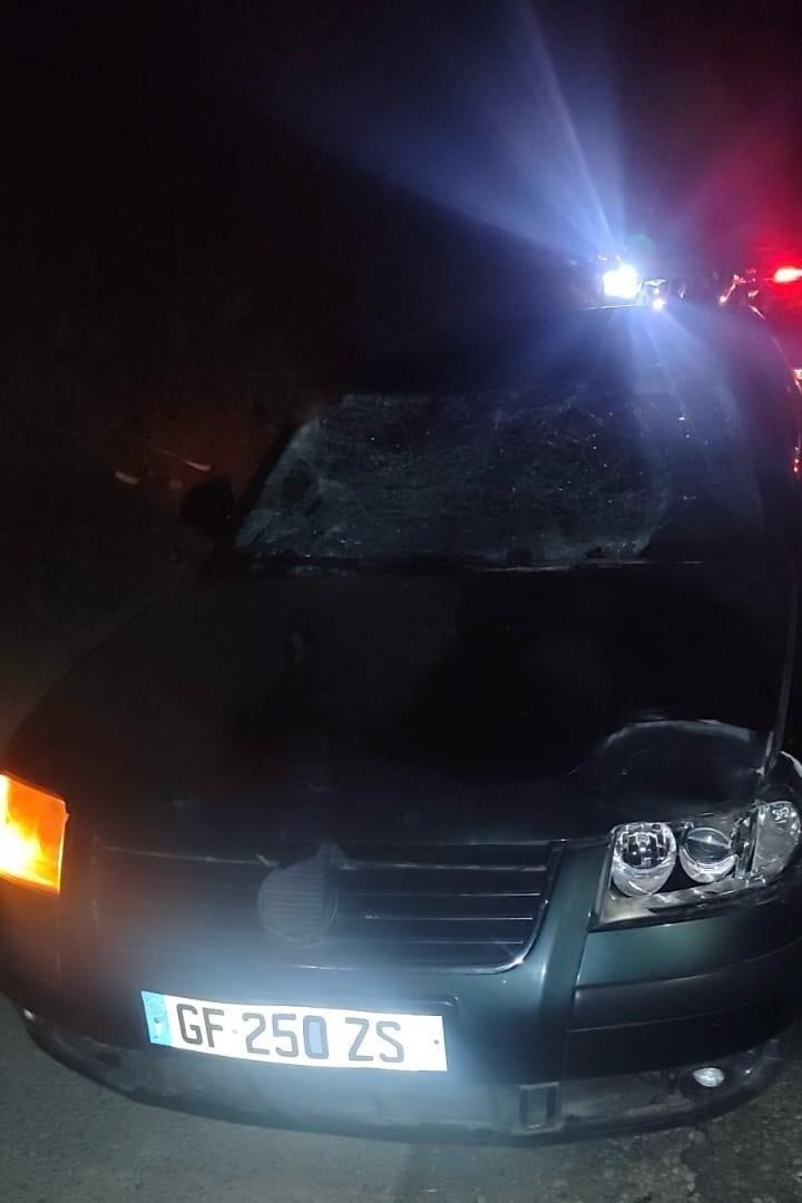 Manisa&rsquo;da yola fırlayan geyiğe otomobil &ccedil;arptı
