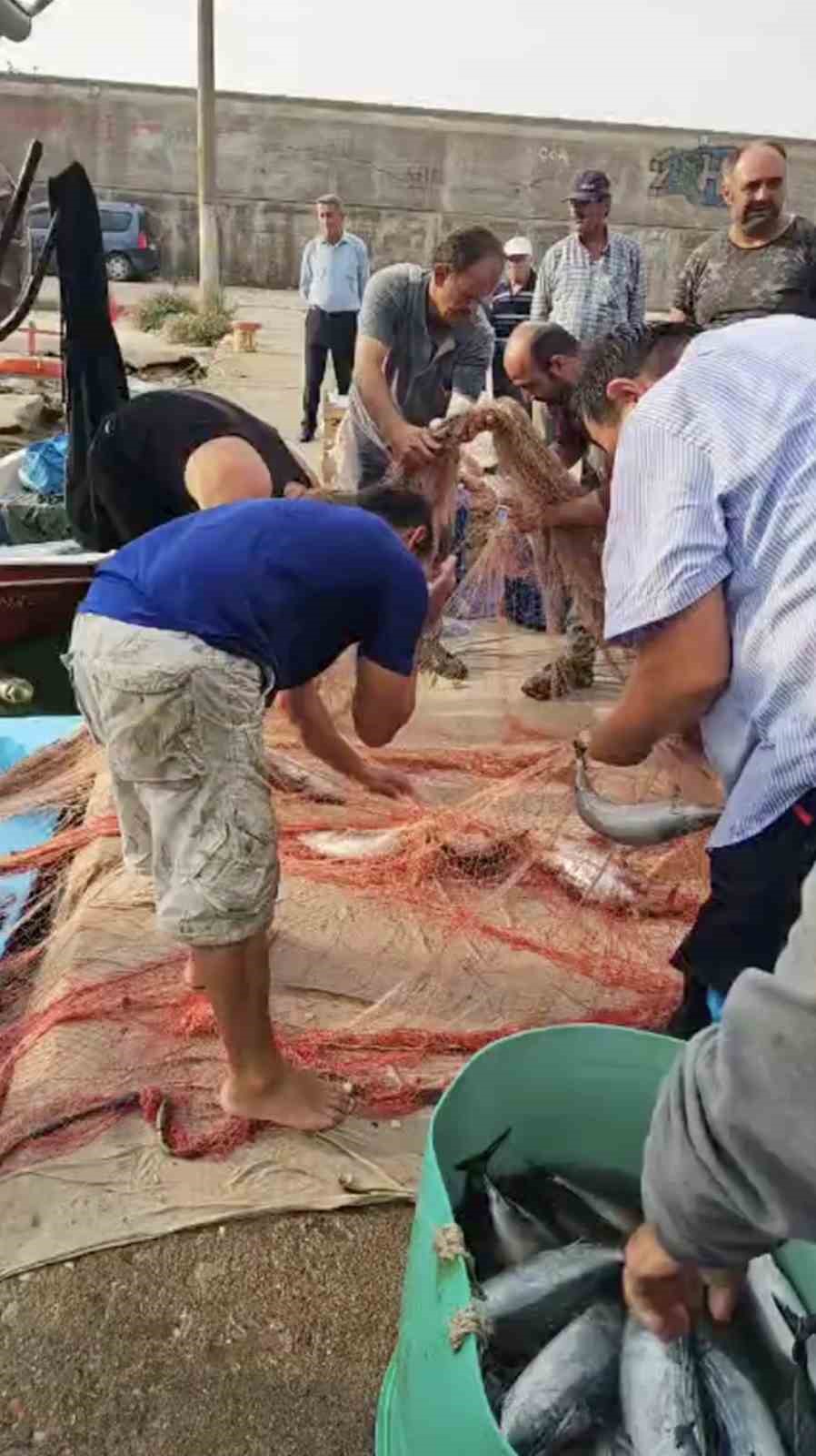 Kastamonu’da palamut bolluğu yaşanıyor
