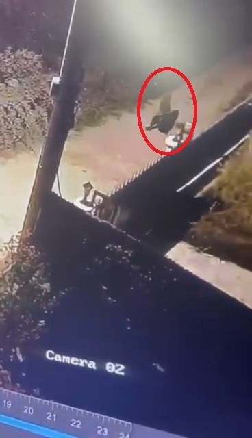 İlçeyi ayağa kaldıran şahıs, vatandaşlar tarafından yakalandı