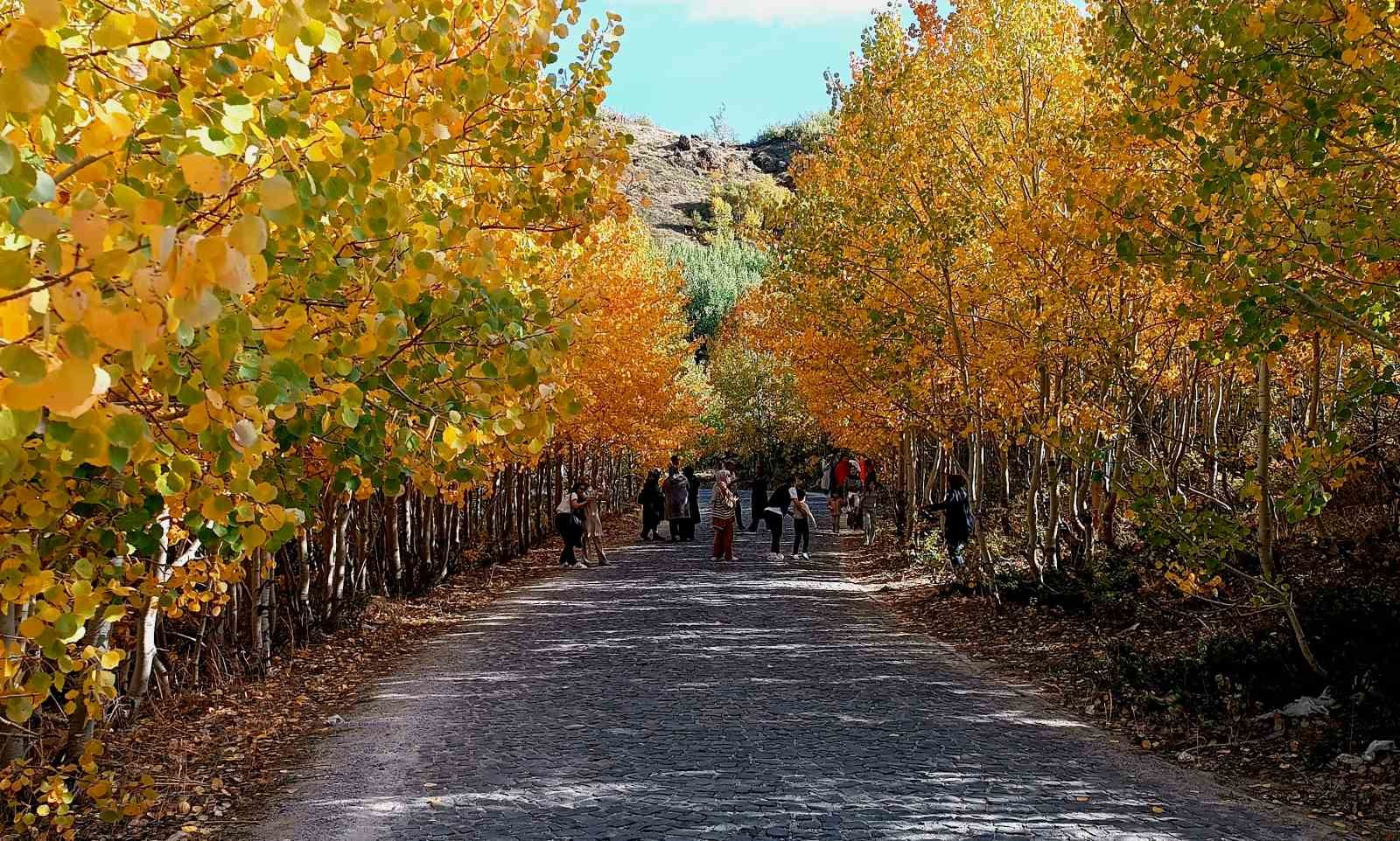 Nemrut Kalderası’nda sonbahar güzelliği