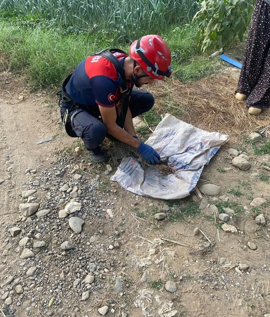 İzmir’de kuyuya düşen kediyi itfaiye kurtardı
