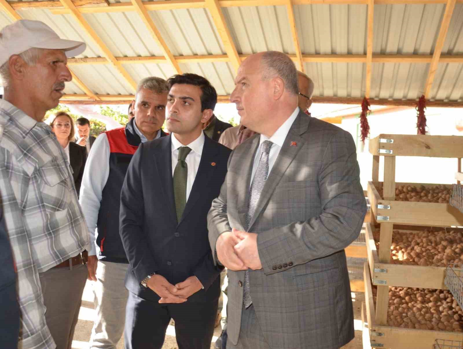 Denizli&rsquo;nin ceviz &uuml;retiminde y&uuml;zde 46 artış bekleniyor
