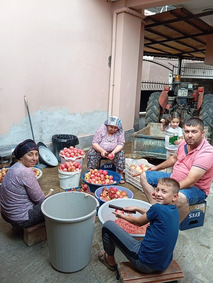 Sarıg&ouml;l&rsquo;de evlerde nar ekşisi yapımına başlandı
