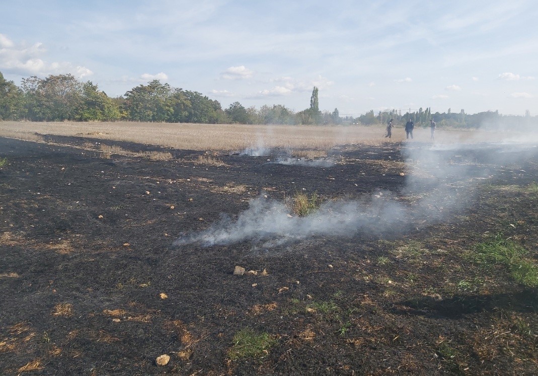 Kırklareli’de anız yangını
