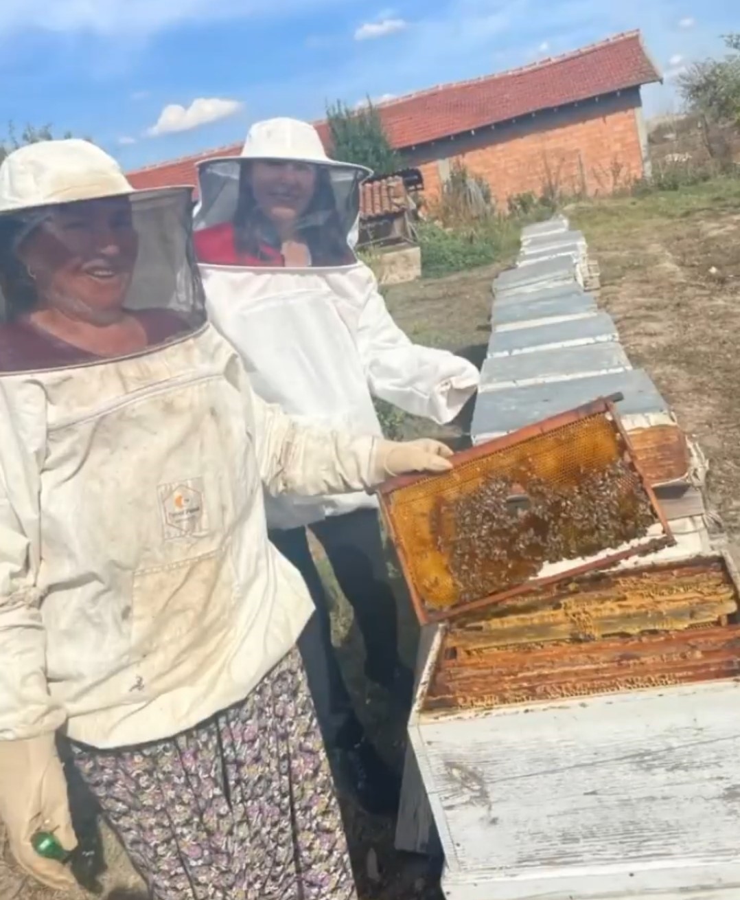 Kırklareli’nde "Dünya Kadın Çiftçiler Günü" tarlada kutlandı
