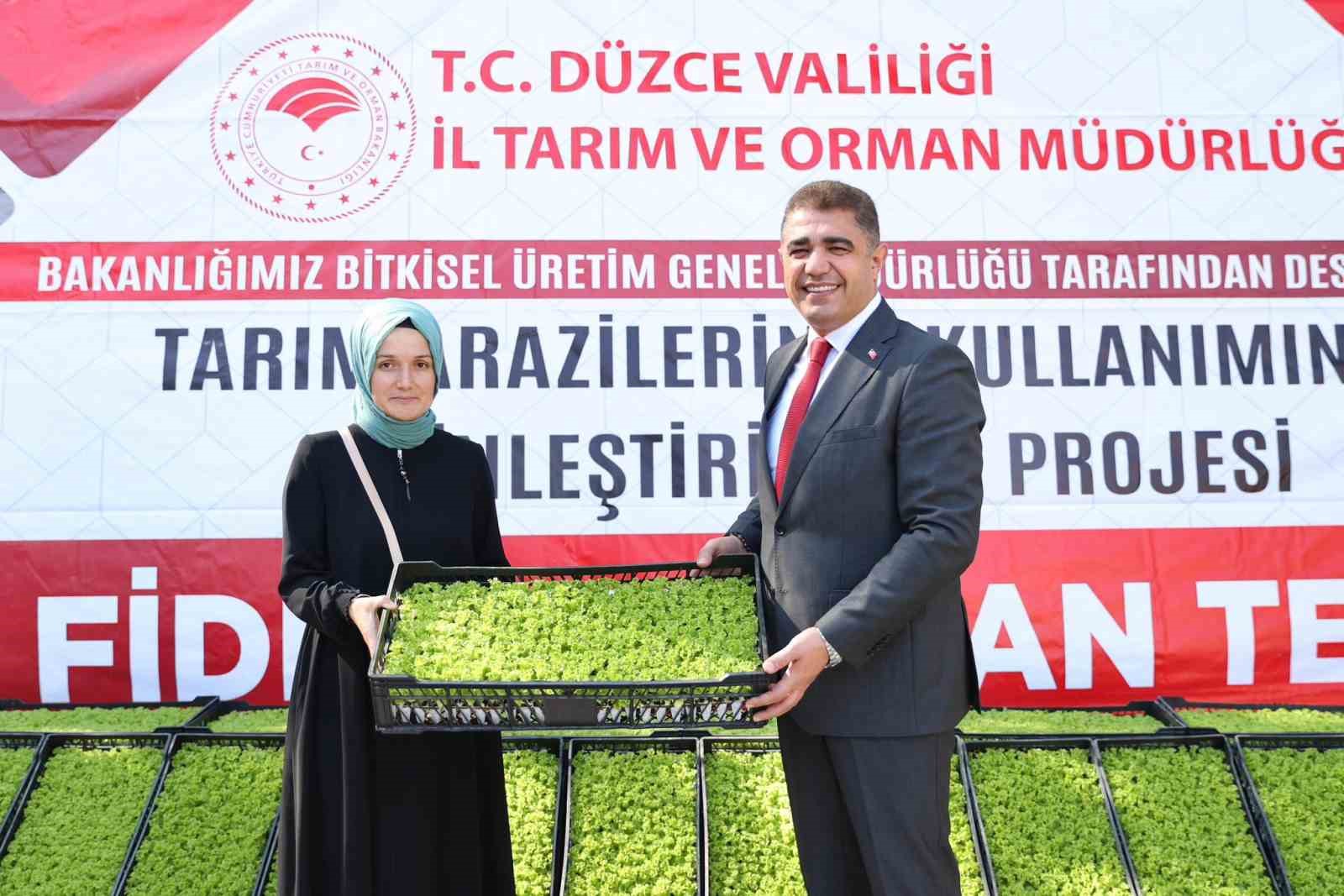 Düzce’de çiftçilere 250 bin marul fidesi dağıtıldı
