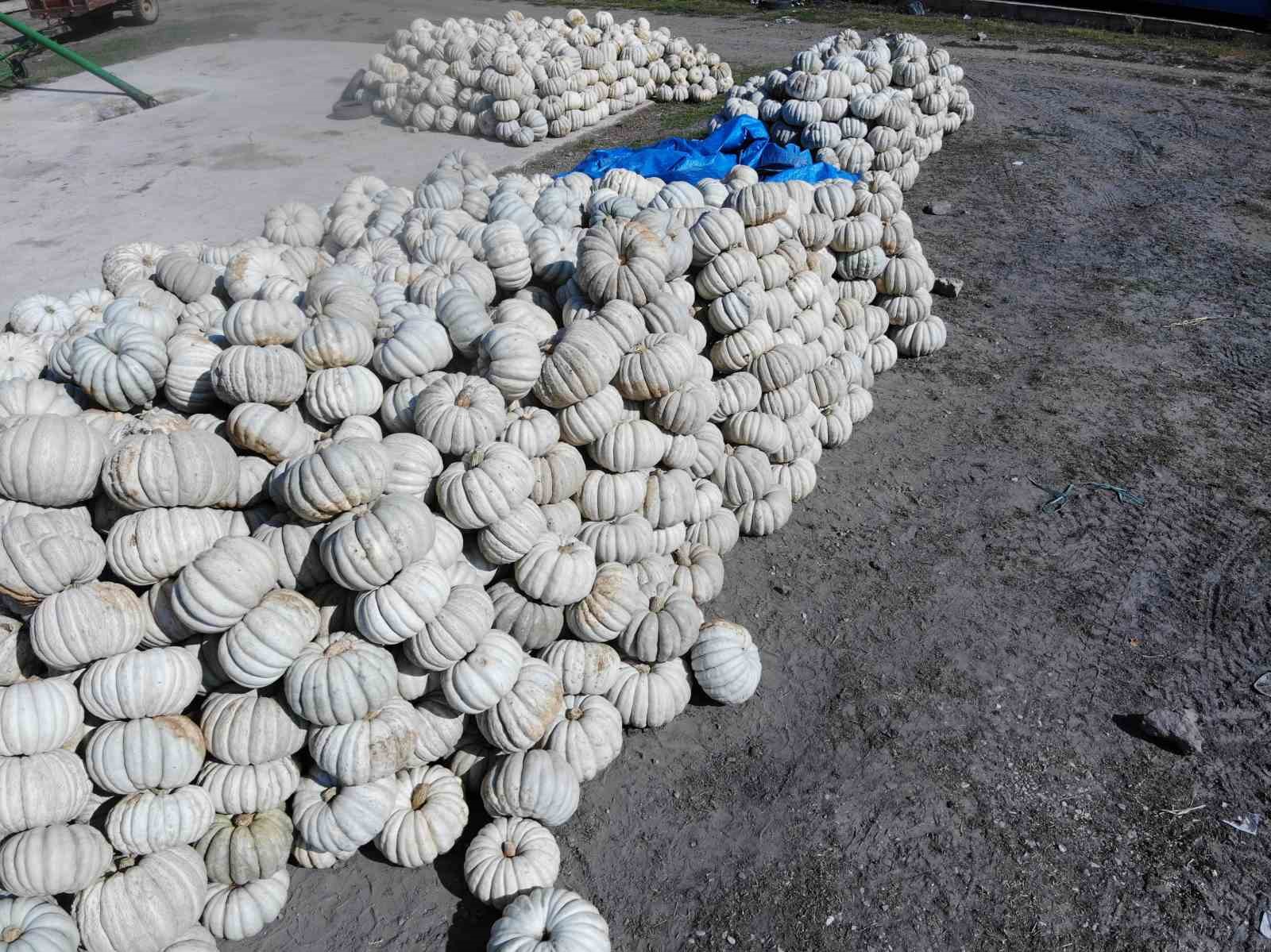 25 yıl &ouml;nce deneme ama&ccedil;lı ektiler, şimdi 40 şehre satıyorlar
