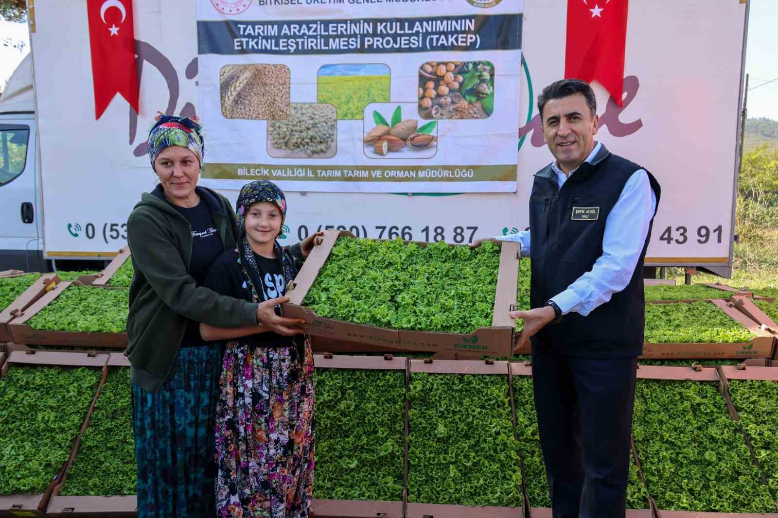 Bilecik&rsquo;te 1 milyon 126 adet marul fidesi dağıtıldı
