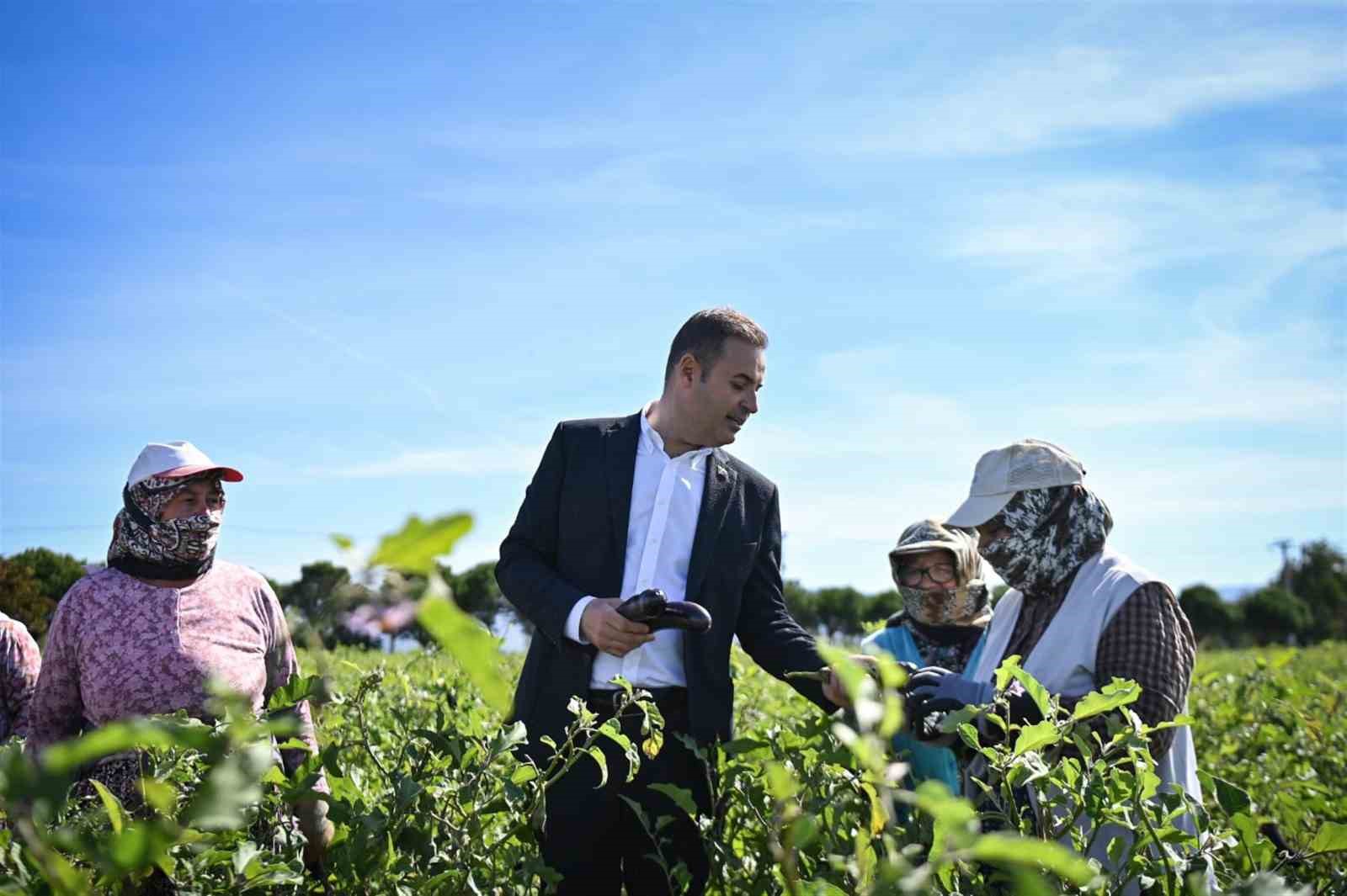 Patlıcan toplayan kadın &ccedil;ift&ccedil;ilere, Başkan Akın&rsquo;dan s&uuml;rpriz ziyaret
