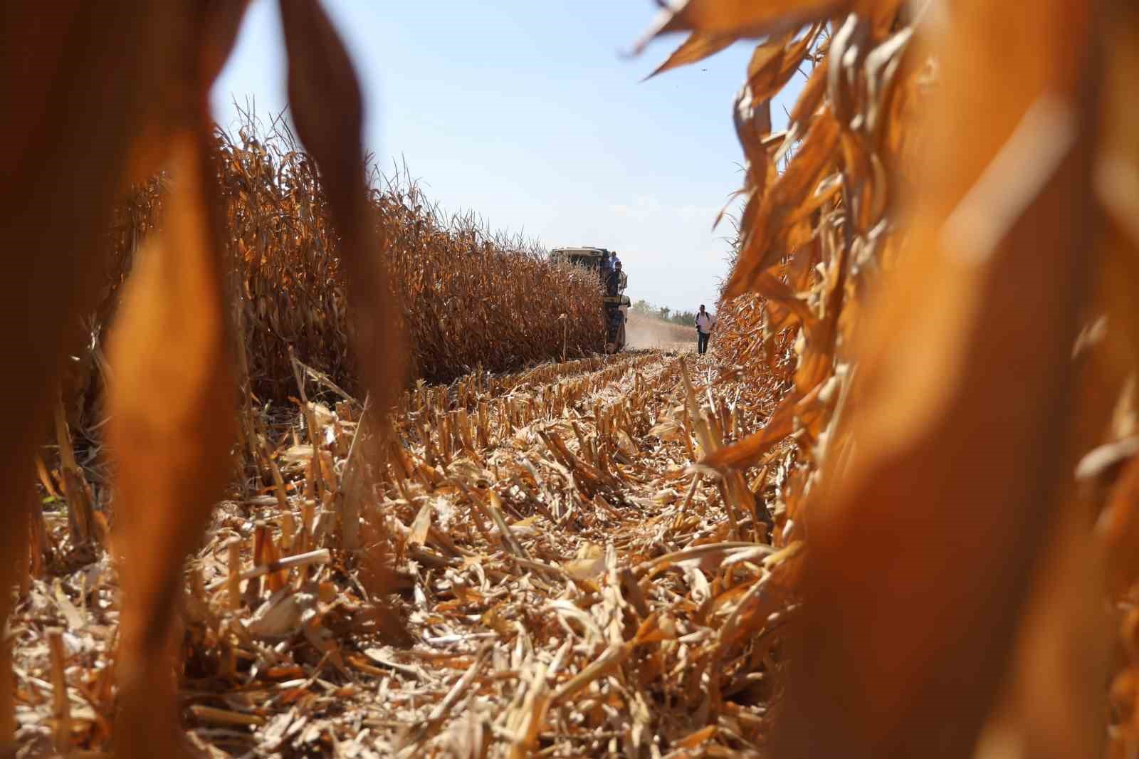TZOB Başkanı Bayraktar, D&uuml;nya Gıda G&uuml;n&uuml;&rsquo;nde Konya&rsquo;da mısır hasadına katıldı
