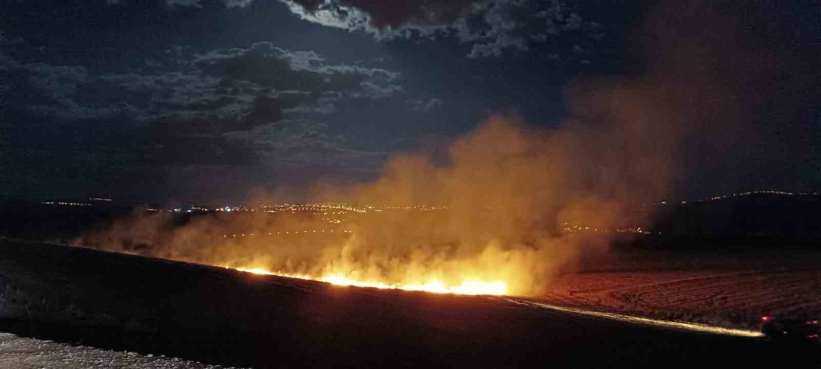 Siirt’te anız yangını
