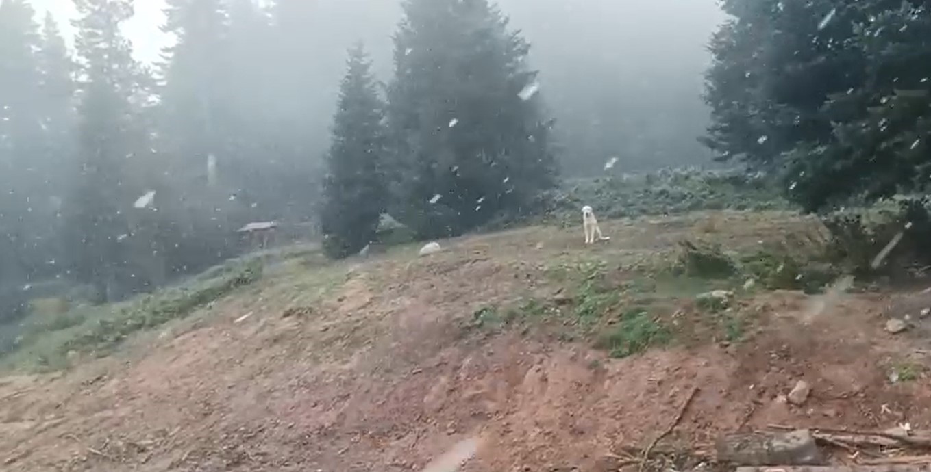 Ilgaz Dağı’nda kar yağışı başladı
