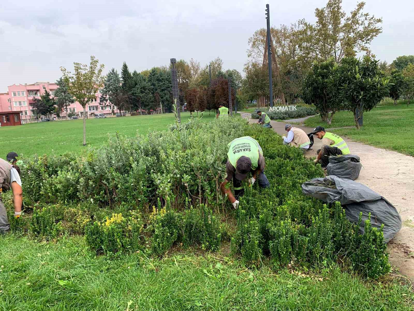 Sakarya Büyükşehir’den şehrin dört bir yanına sonbahar dokunuşu
