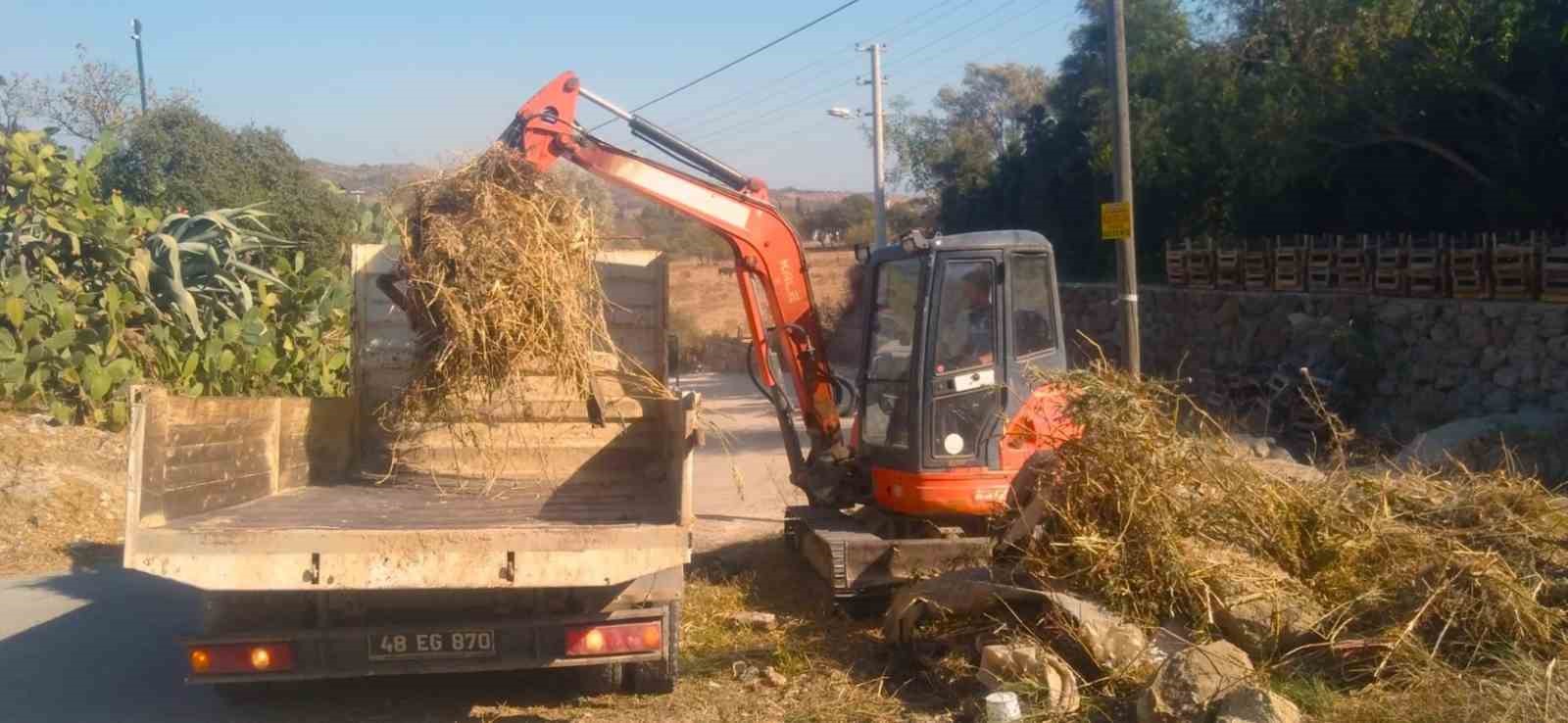 Bodrum’un derelerinde kış temizliği