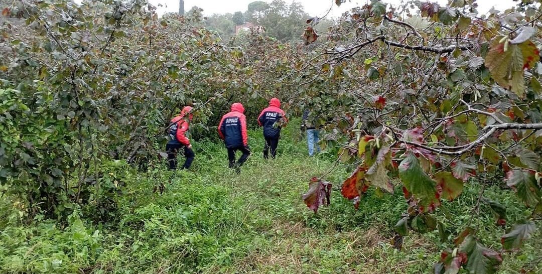 Ordu’da ağaçtan düşen yaşlı adam hayatını kaybetti