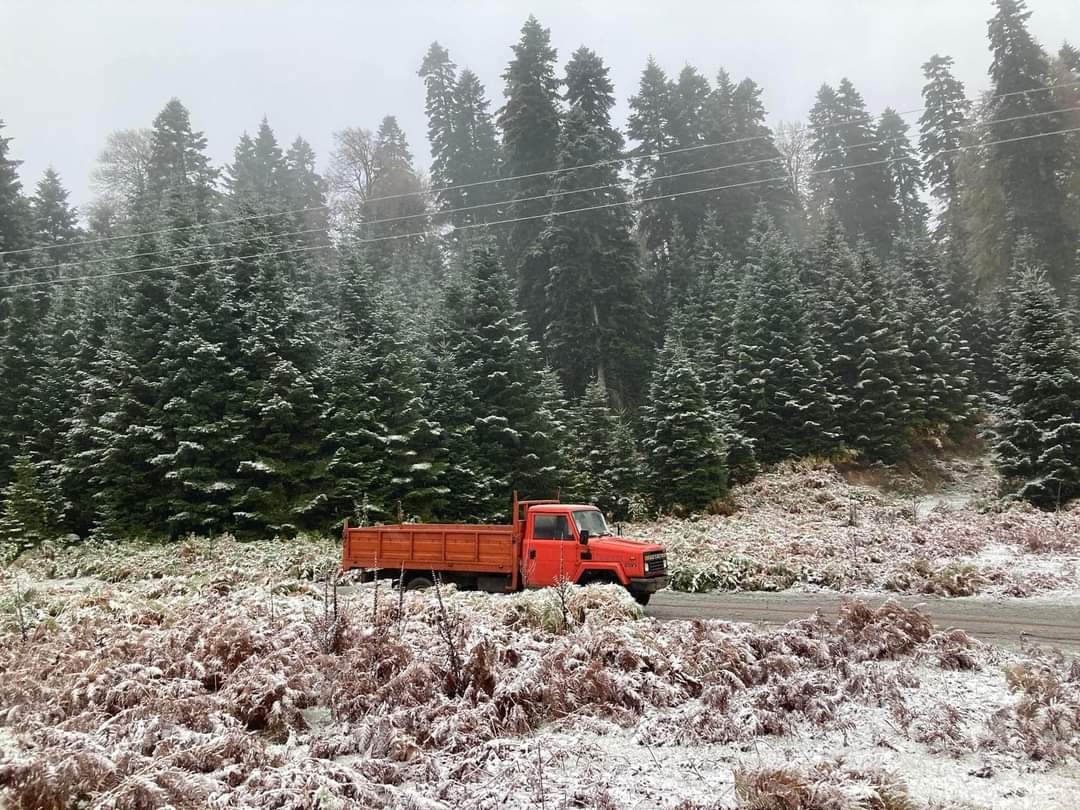 Mevsimin ilk karı yağdı: Bin 725 rakımlı yayla kısmen beyaza büründü
