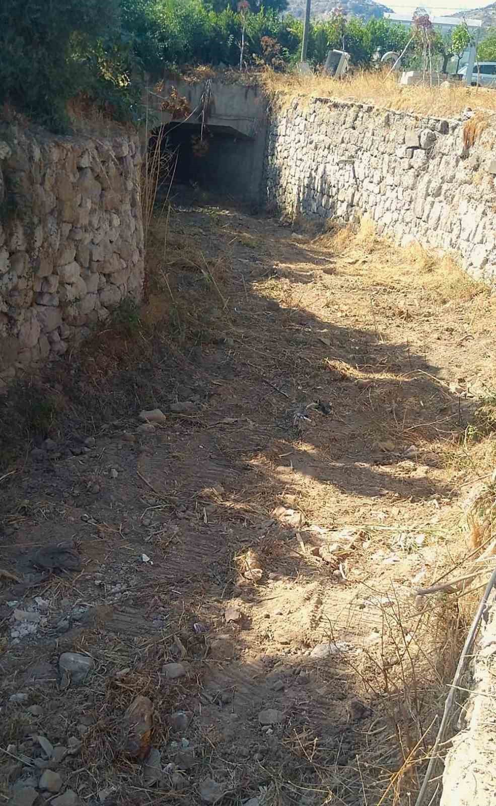 Bodrum&rsquo;un derelerinde kış temizliği
