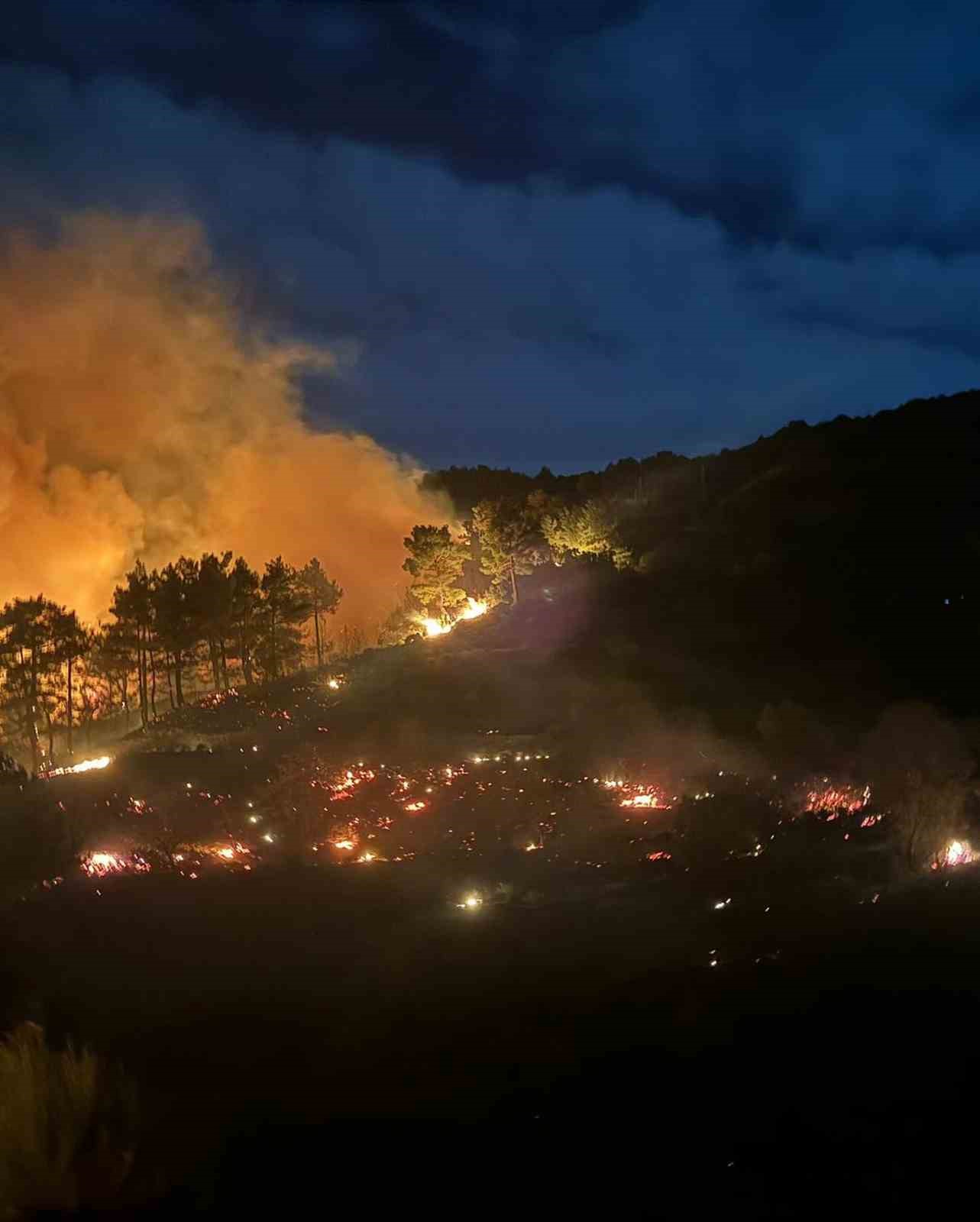 Dalaman orman yangını r&uuml;zgarla birlikte b&uuml;y&uuml;d&uuml;
