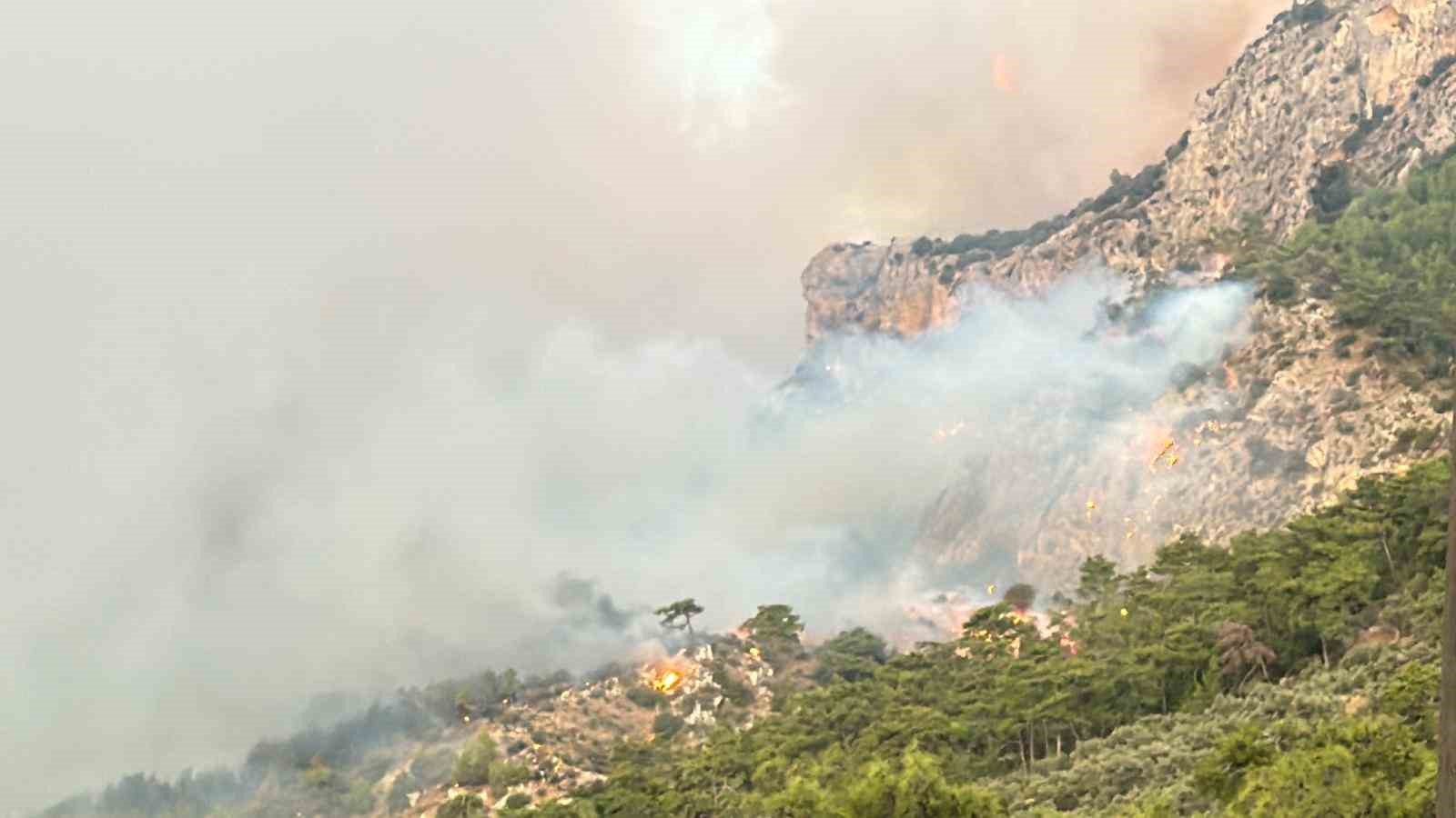 Muğla’yı orman yangınları esir aldı
