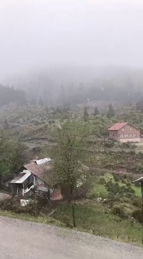 Sakarya’nın yüksek kesimleri kısmen beyaza büründü
