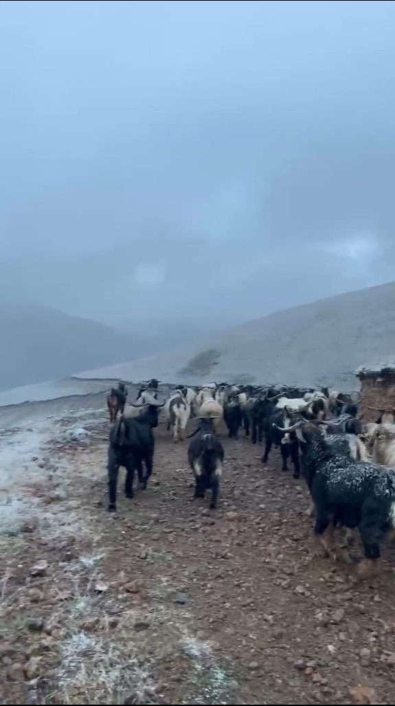 Giresun’un yüksek kesimlerinde kar yağışı etkisini gösterdi
