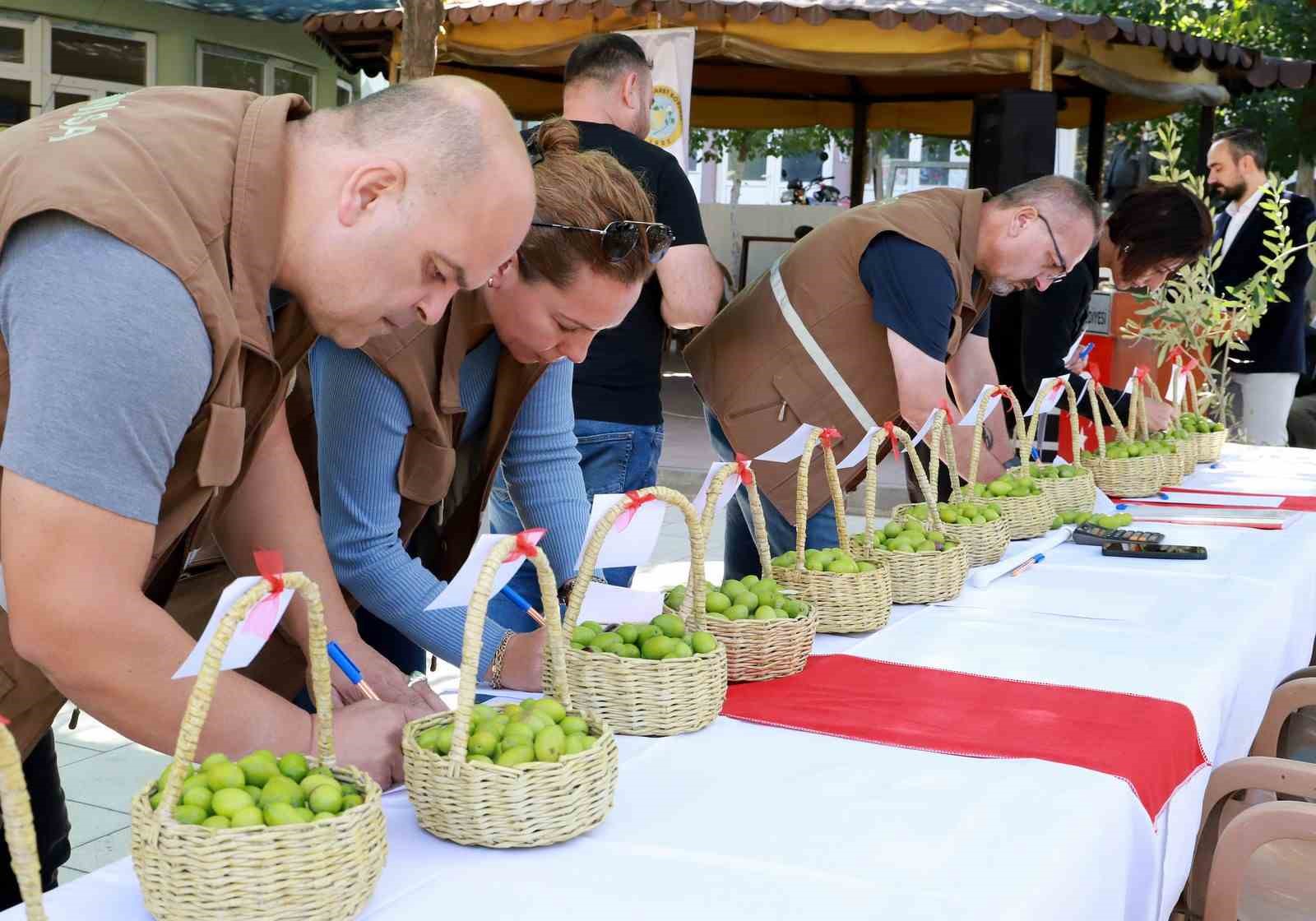 Belen’in tescilli zeytinleri yarıştı