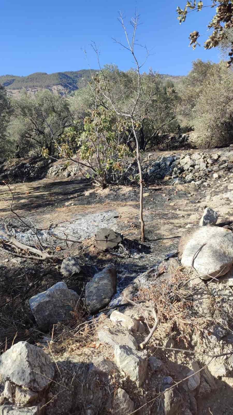 Buharkent’te arazi yangını
