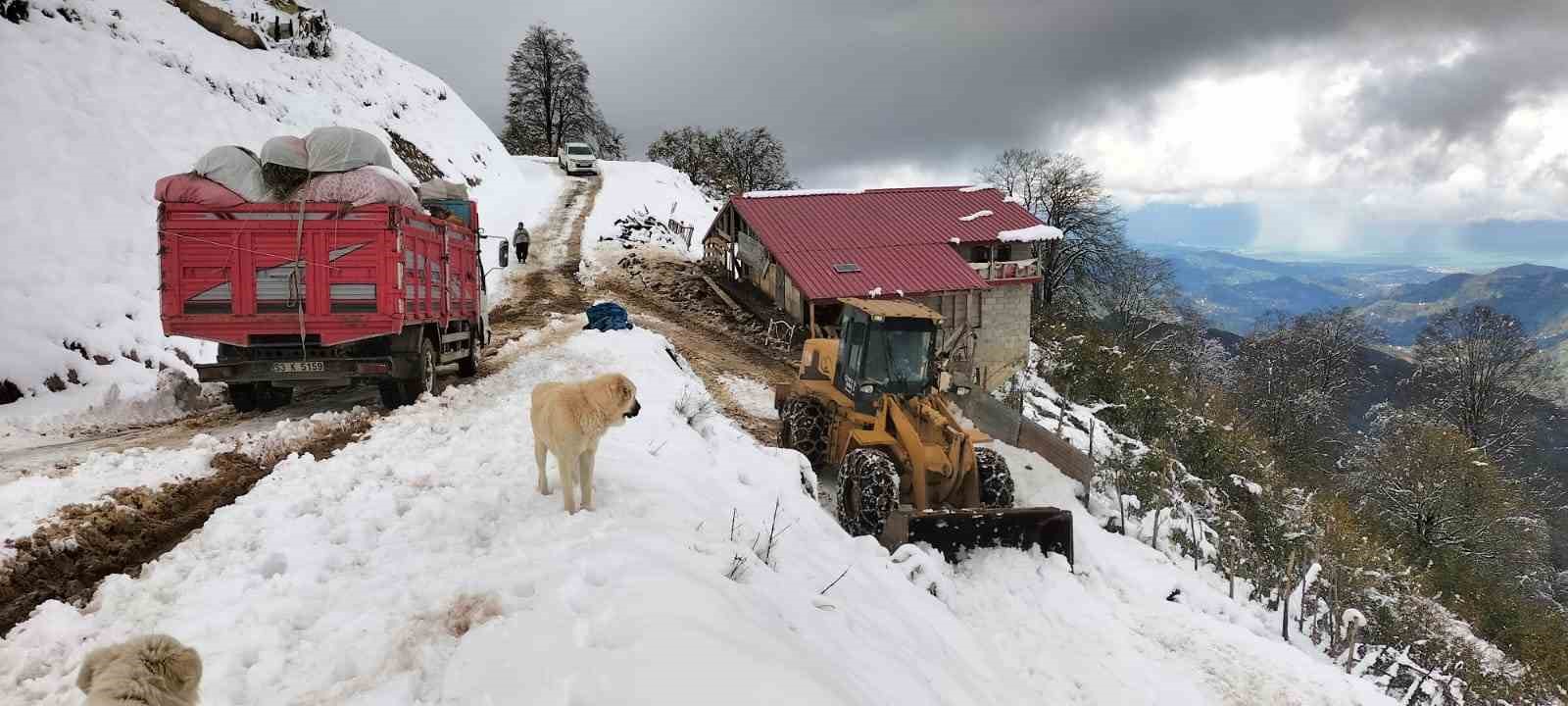 Rize’de yaylada küçükbaş ve büyükbaş hayvanları ile mahsur kalan 6 kişi kurtarıldı