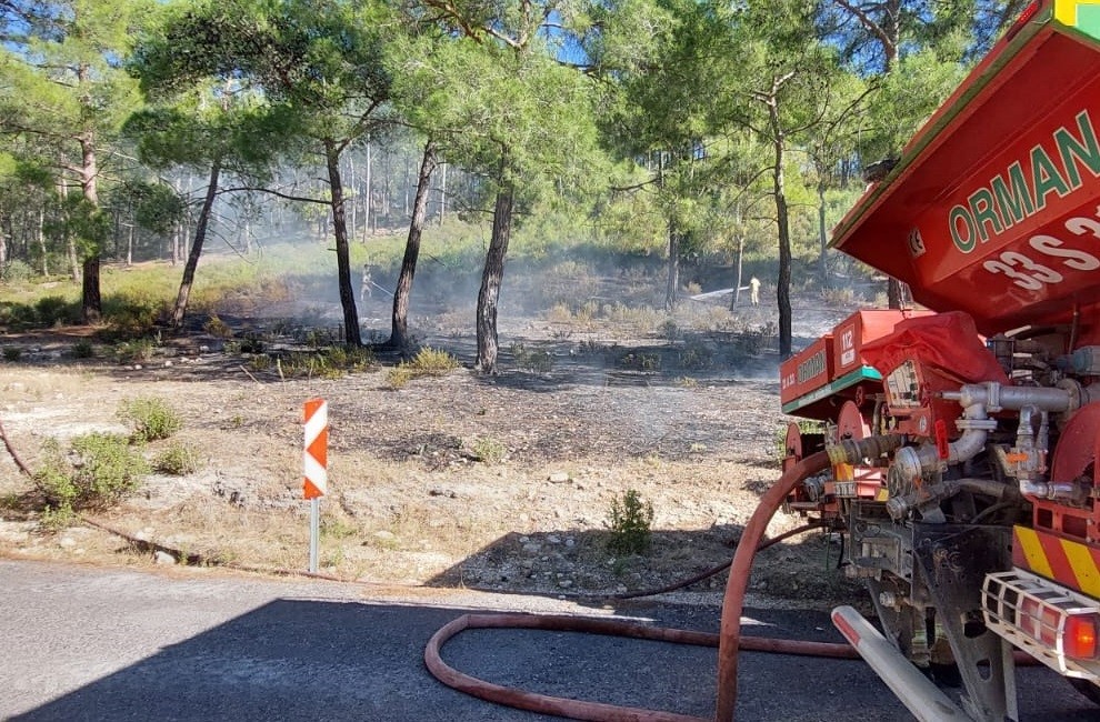 Mersin’de vadide çıkan orman yangını, büyümeden söndürüldü
