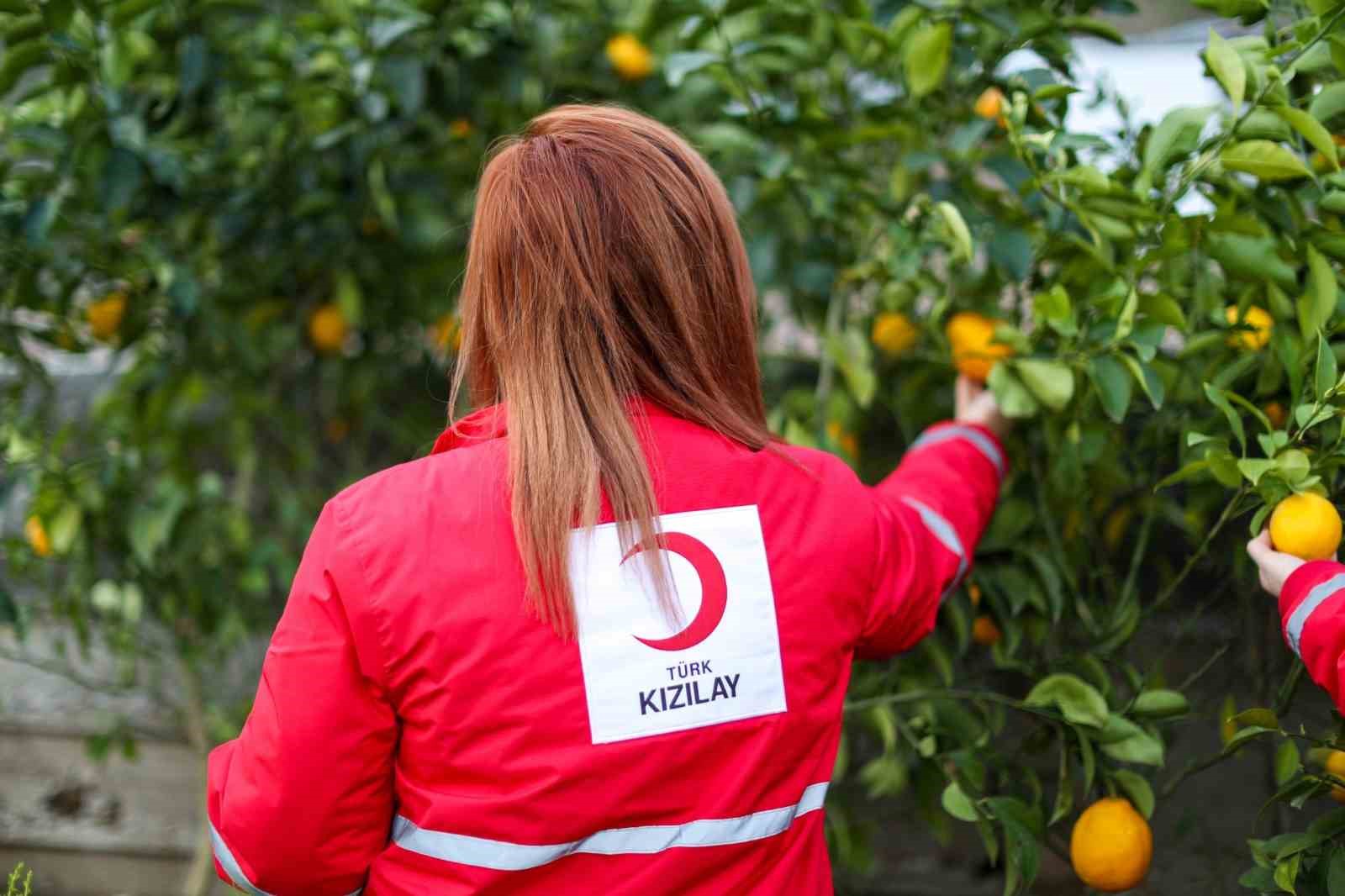 Türk Kızılay’dan depremden etkilenen 2 bin 797 çiftçiye 70,8 milyon destek