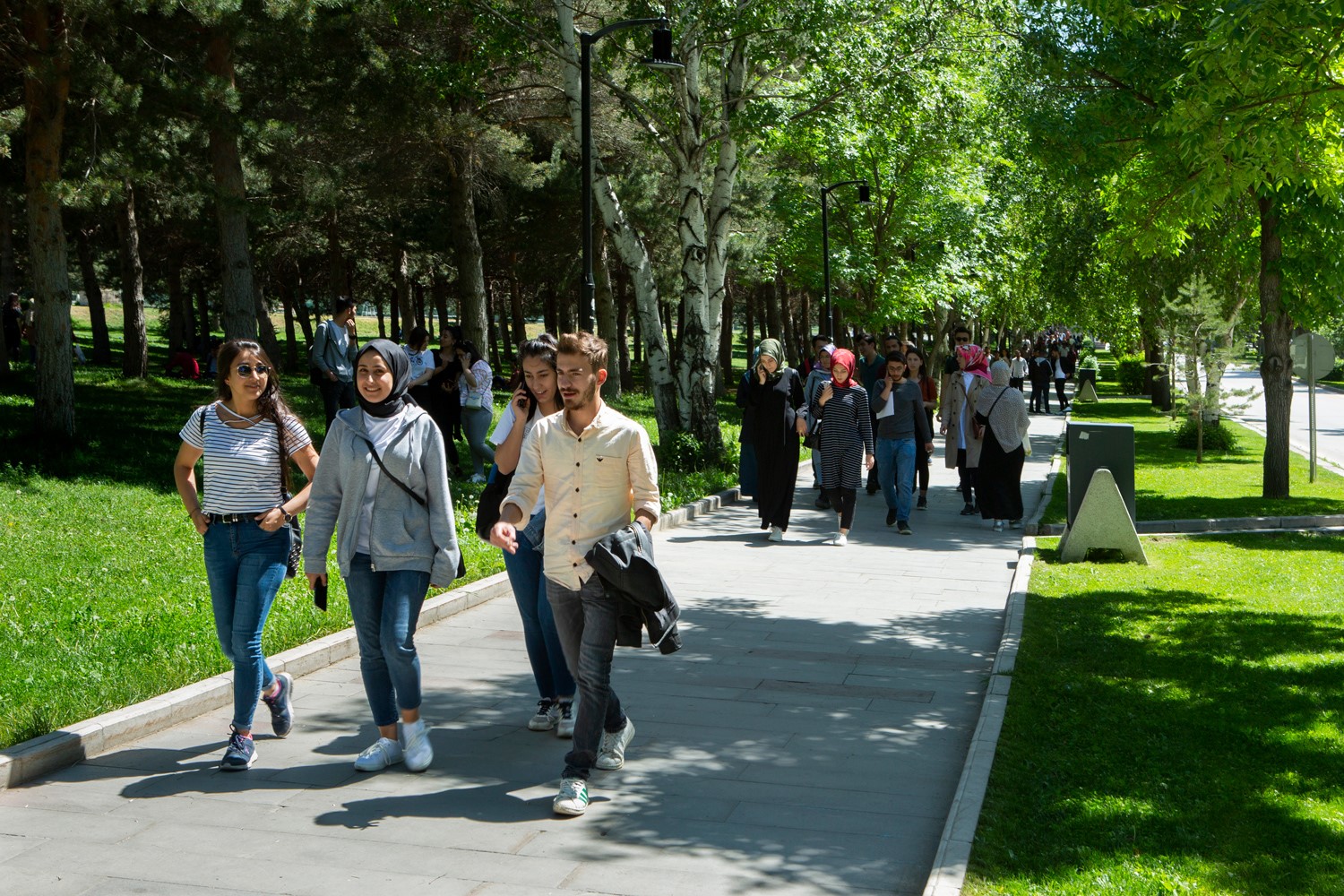 Atat&uuml;rk &Uuml;niversitesi &ouml;ğrencileri &uuml;zerine ilgin&ccedil; bir araştırma
