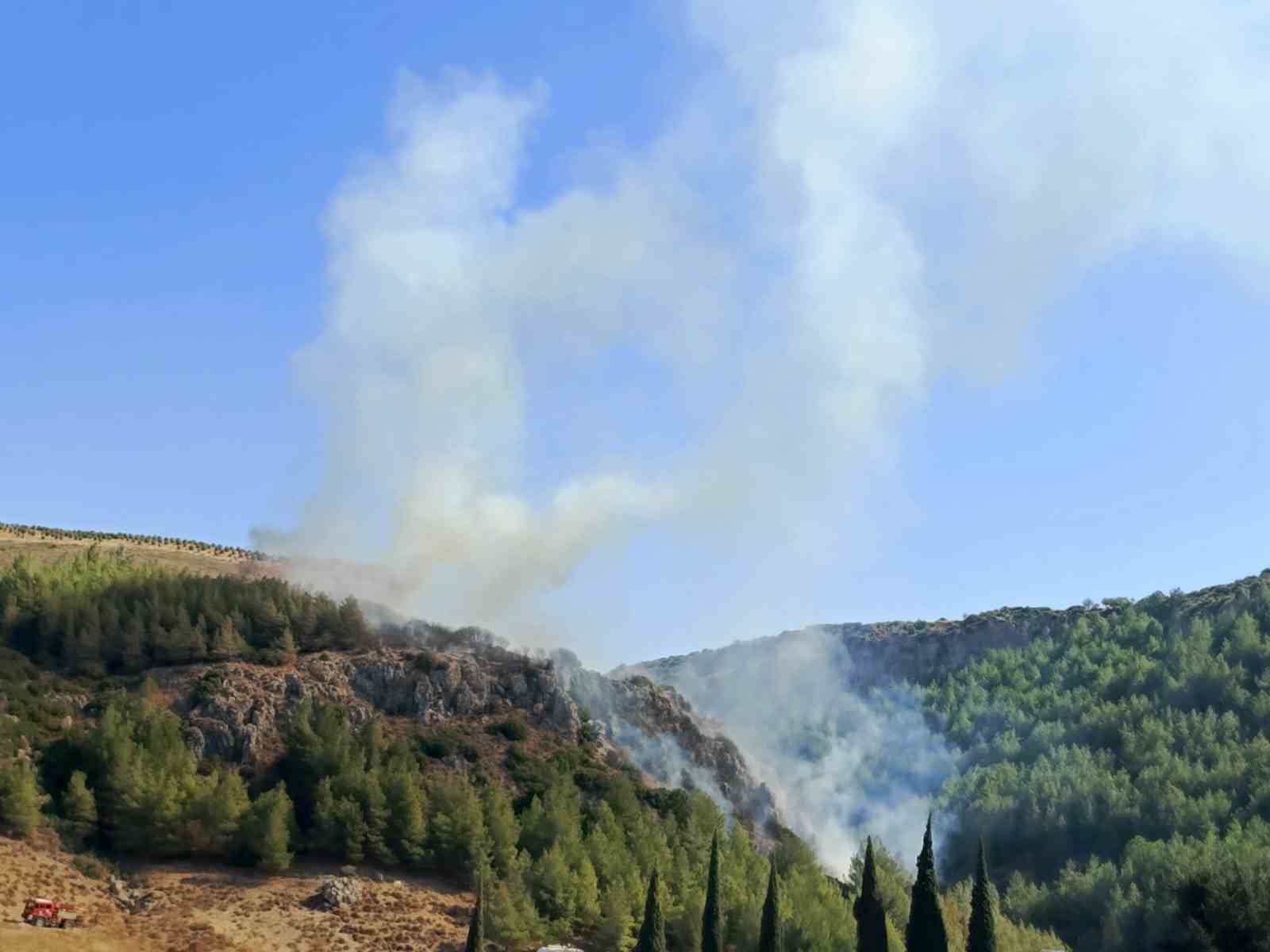 Hatay’da orman yangını