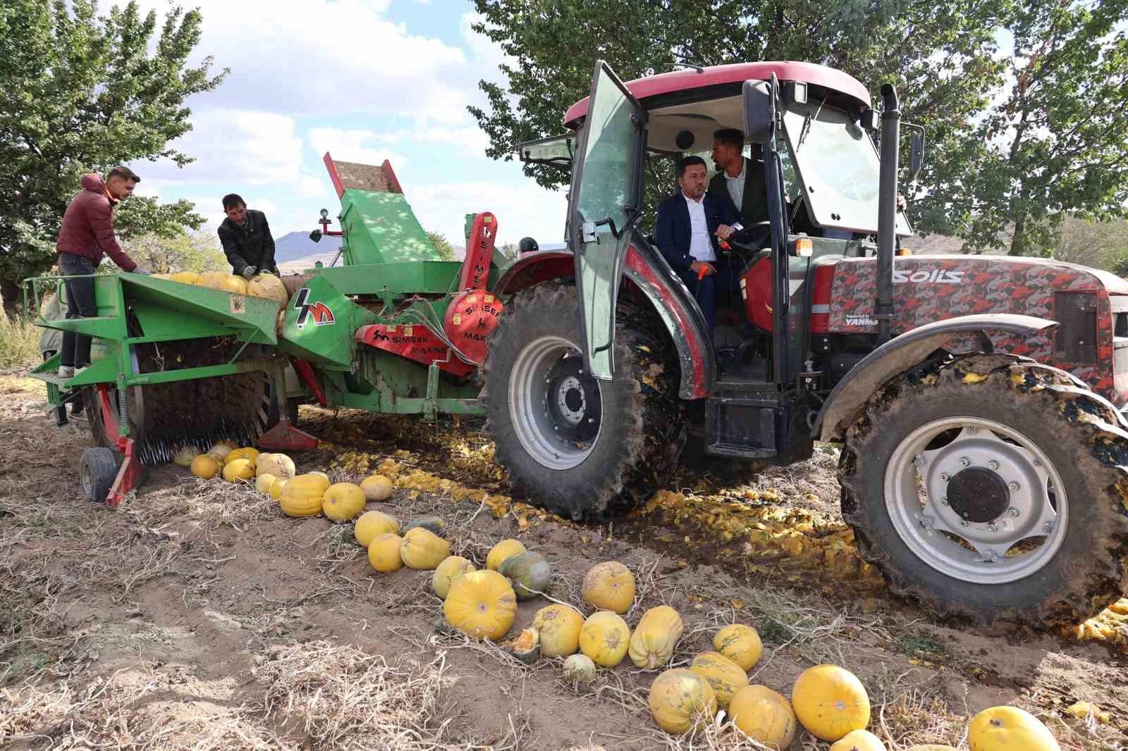 1. Kabak Çekirdeği Festivali yapıldı
