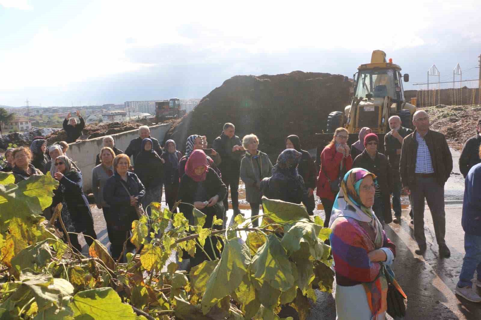 K&ouml;rfez&rsquo;in &ccedil;ınarları mantar topladı
