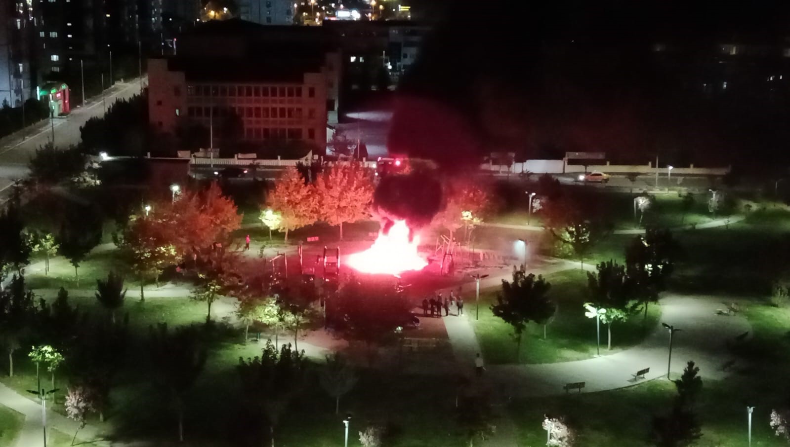 Diyarbakır’da çocuk oyun parkı alevlere teslim oldu
