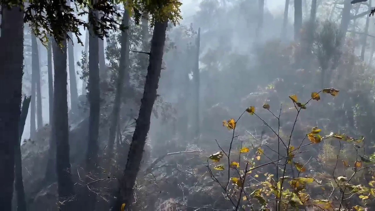 Orman yangınına müdahale çevre illerden destekle devam ediyor