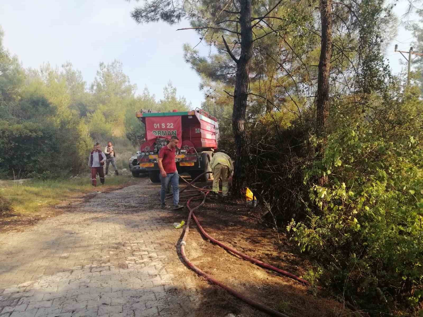 Osmaniye’de orman yangını başladı
