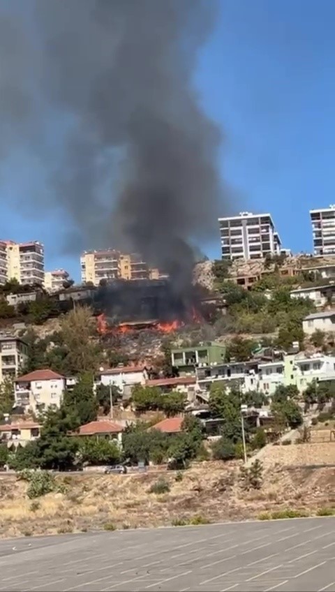 Yangında kurbanlık 50 hayvanı telef olan besici kadın gözyaşlarına boğuldu
