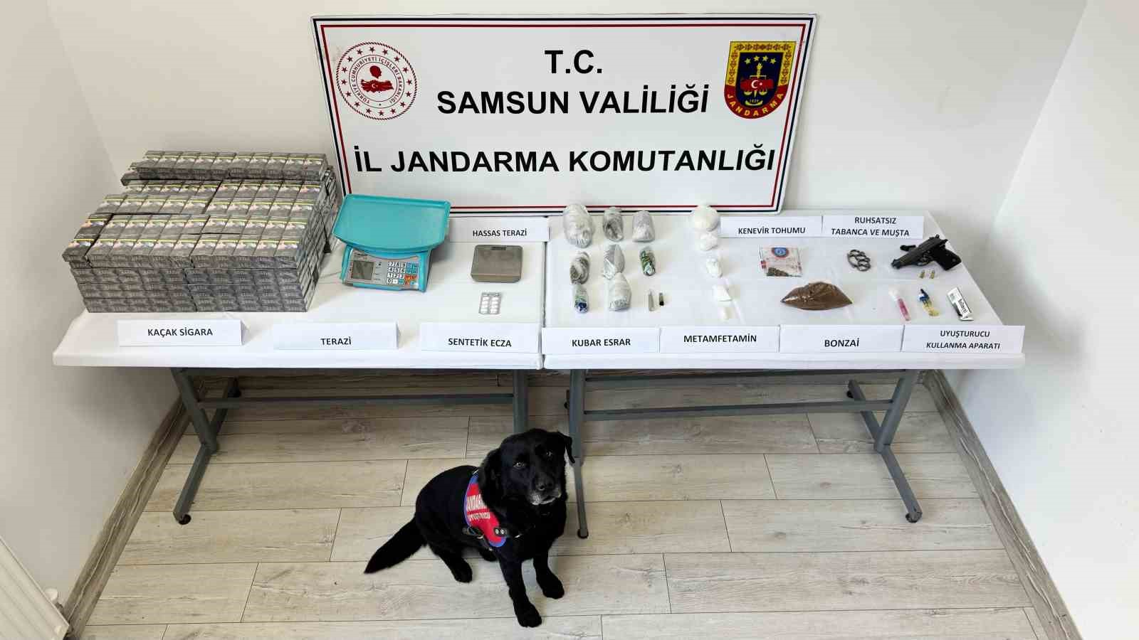 Samsun’da jandarma ekipleri çok sayıda uyuşturucu madde ele geçirdi