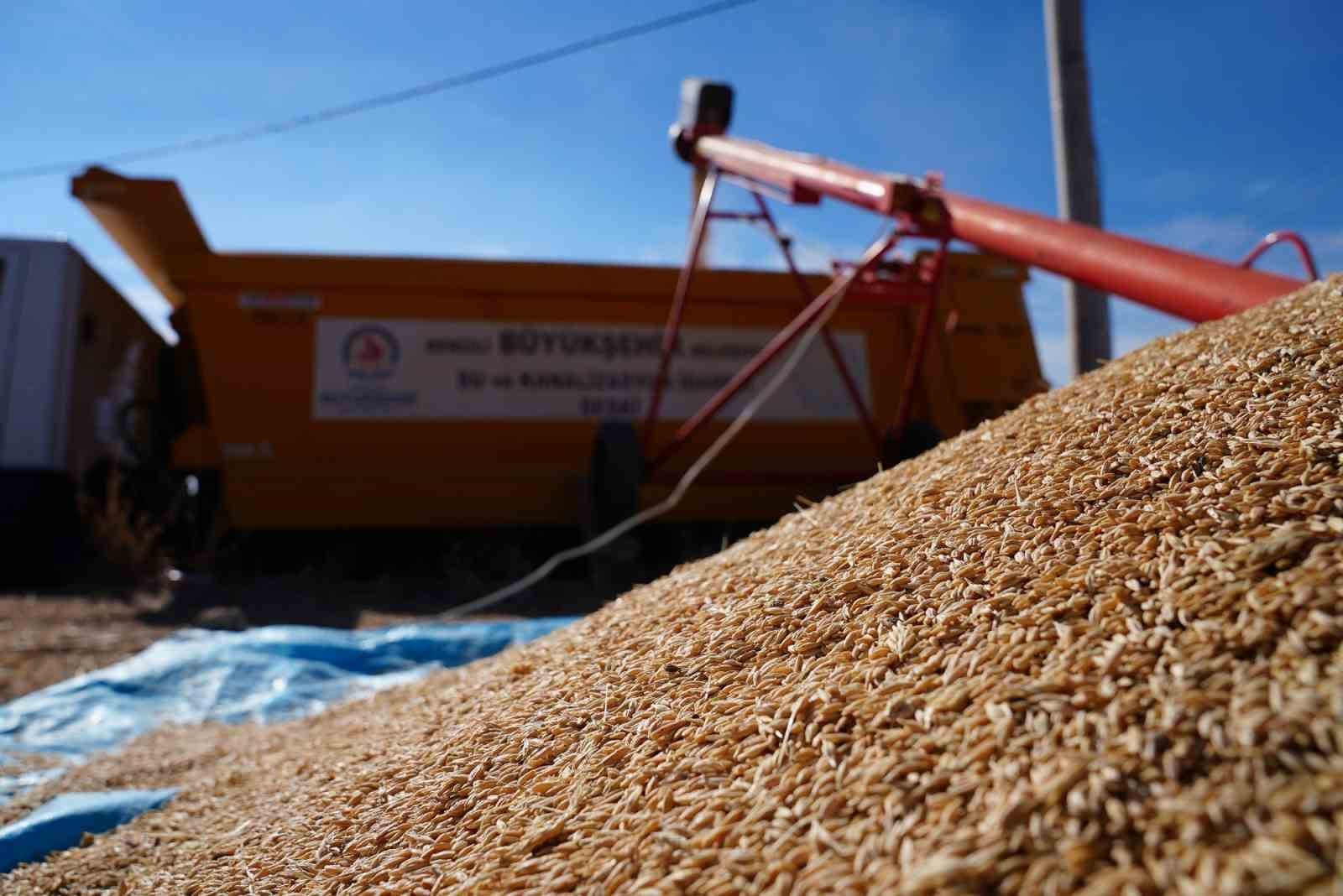 Denizli B&uuml;y&uuml;kşehir &ccedil;ift&ccedil;iden 45 ton arpa alacak
