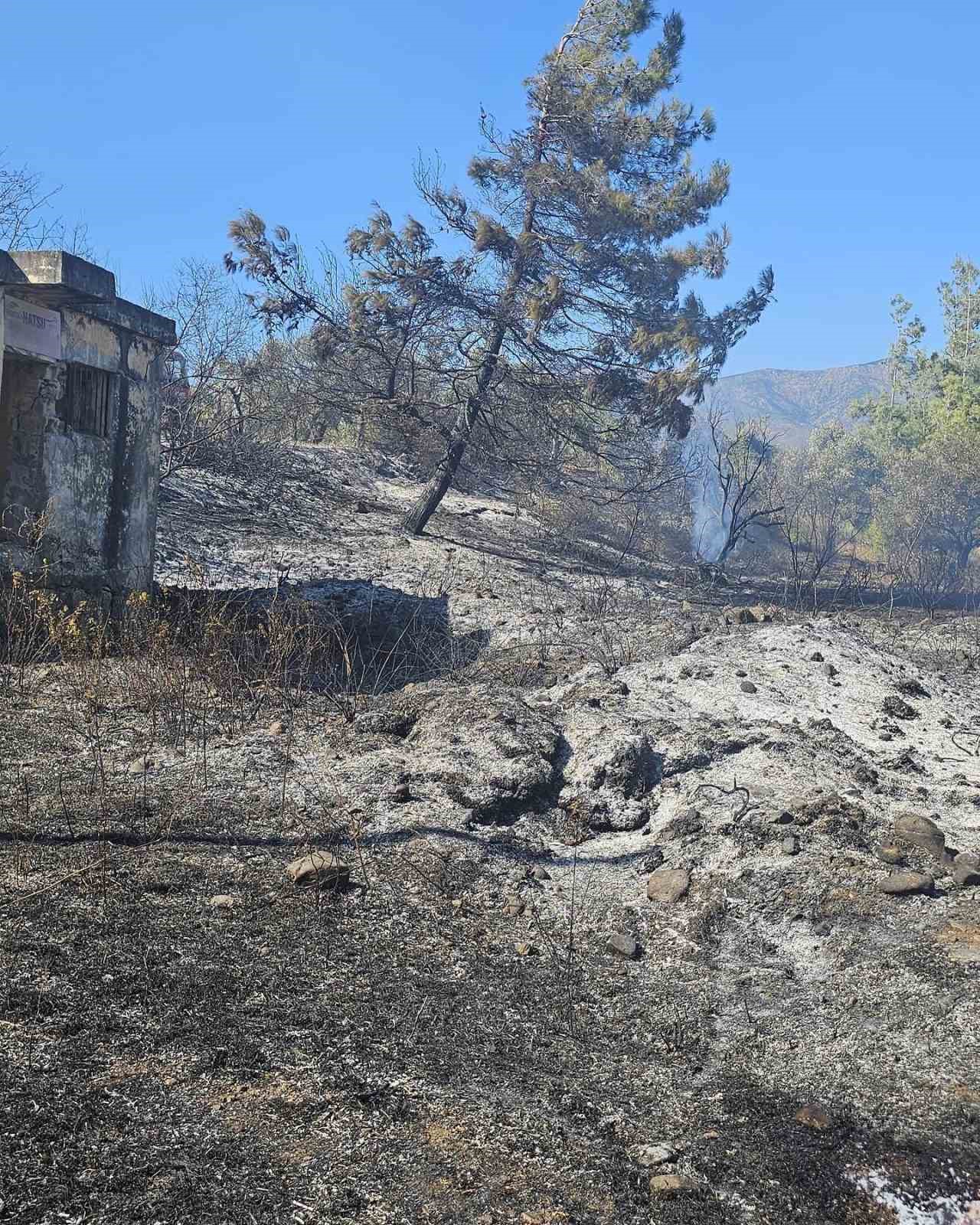 Antakya’da bahçe yangını
