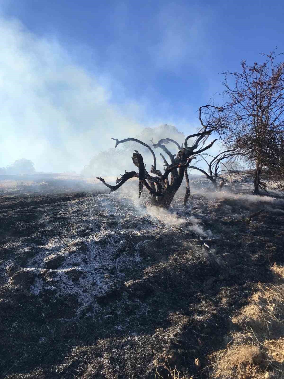 Bozdağ&rsquo;da 1 ayda 7 ayrı yerde yangın &ccedil;ıktı
