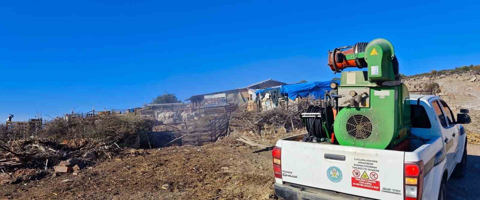 Manisa Büyükşehir Belediyesinden ’mavi dil’ hastalığına karşı mücadele