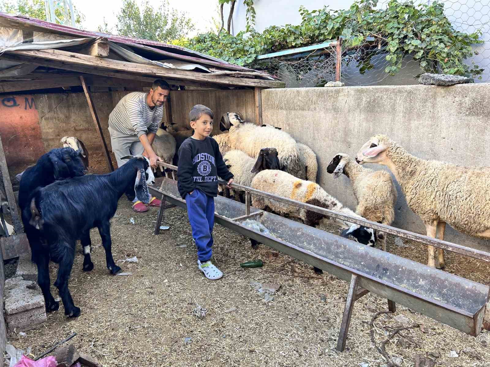 Arabasını satarak hayvancılığa başlayan depremzede baba ve böbrek hastası 2 evladının umudu olan 22 koyunu polis ekipleri buldu