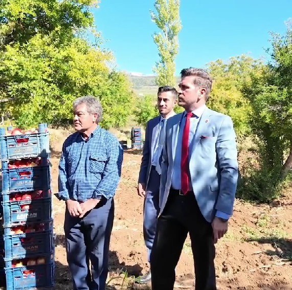 Başkan Tatık, Tavas’ta nar hasadı yapan üreticileri yalnız bırakmadıı